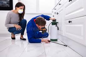 Best Pest Control for Multi-Family Homes  in Pine City, MN